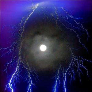 Meet your Posher, Andy